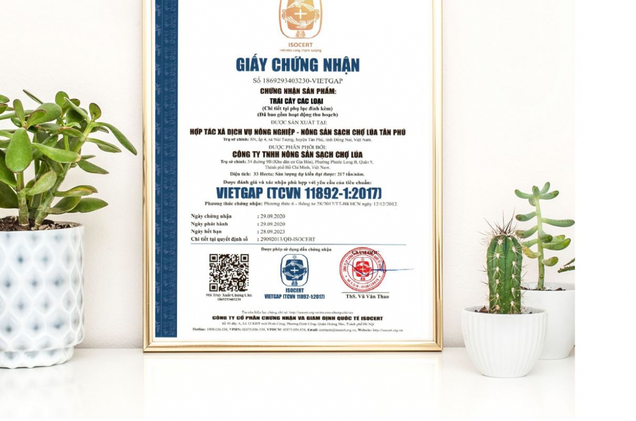 Hướng dẫn thực hành nông nghiệp và cấp giấy chứng nhận vietGAP cho sản phâm·